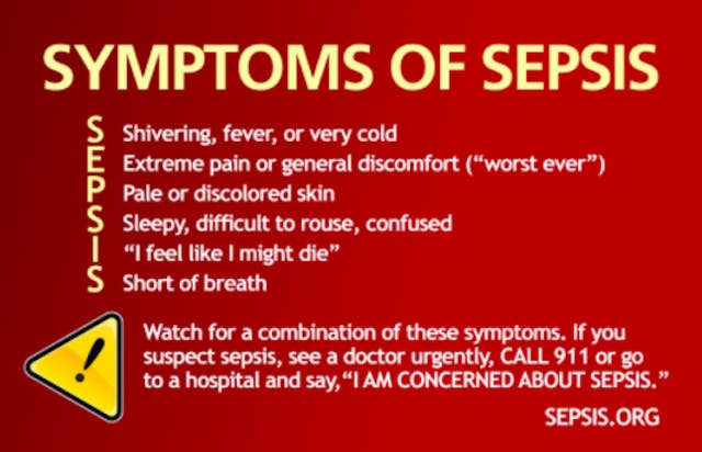 A 28-Year-Old Man Nearly Died From Sepsis Caused By Biting ...