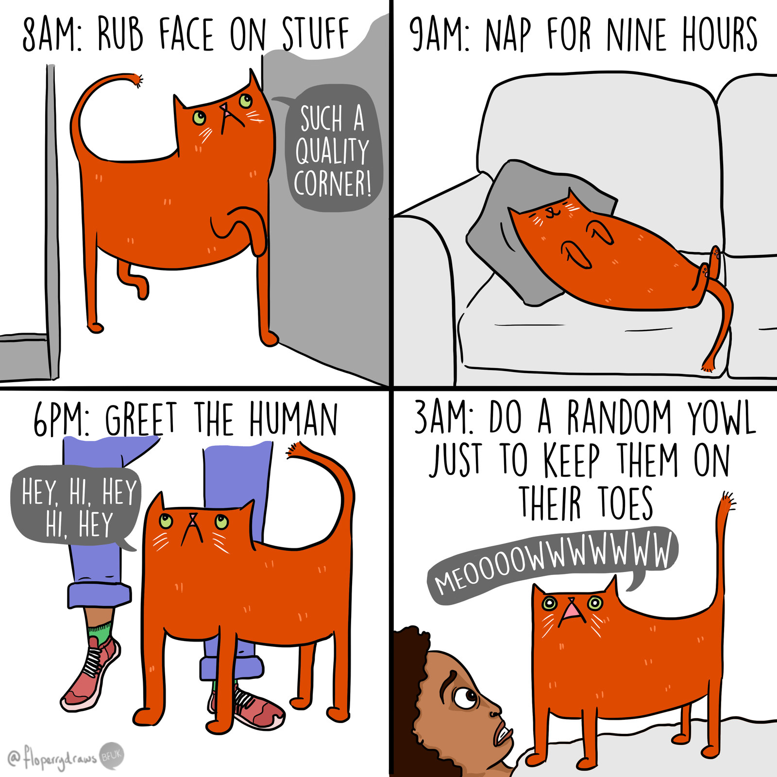 cartoon about a cat