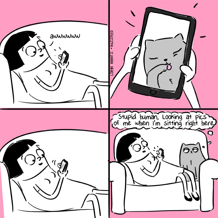 cartoon of woman taking pictures of her cat