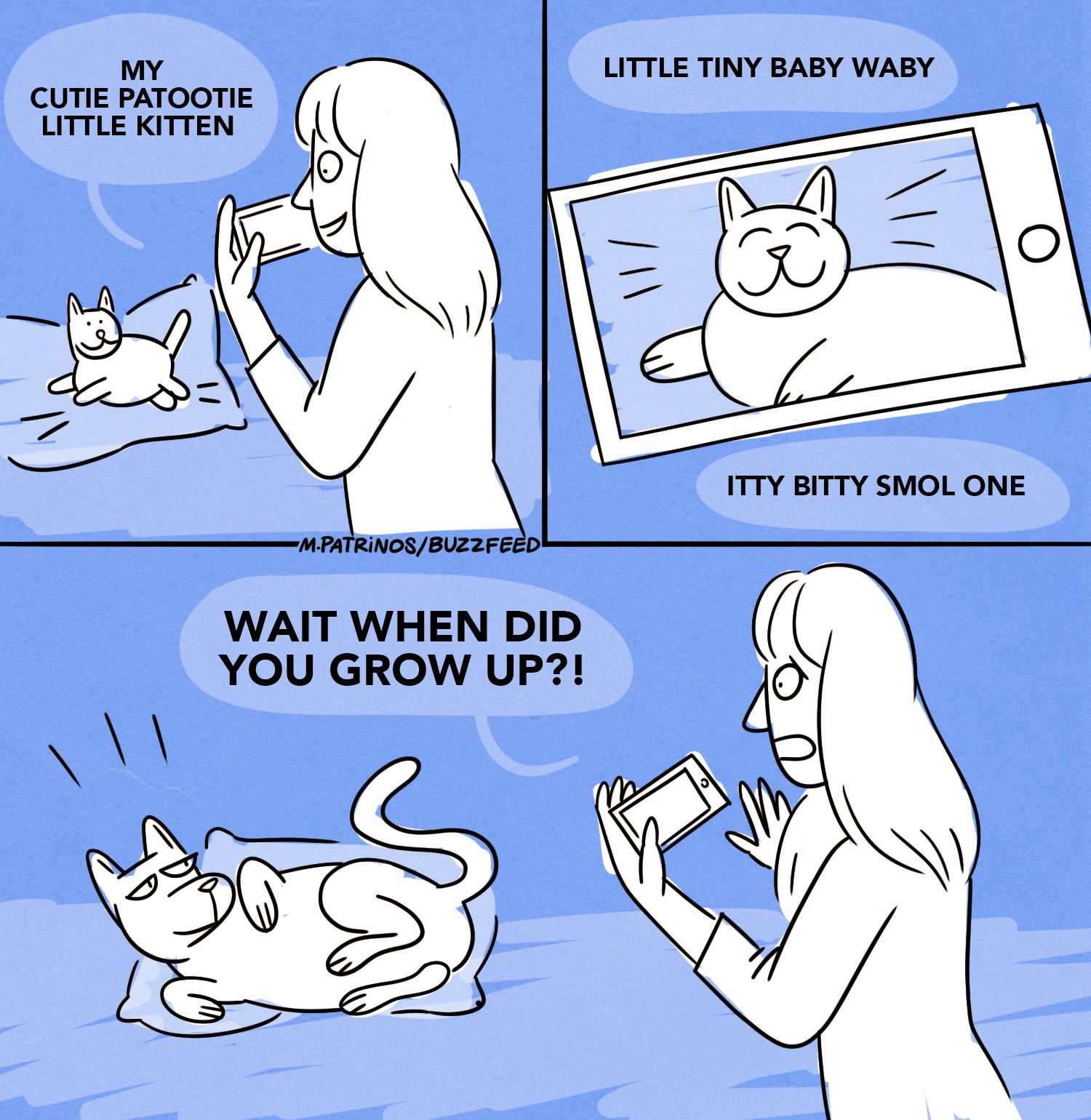 woman taking a picture of a kitten and a bigger cat