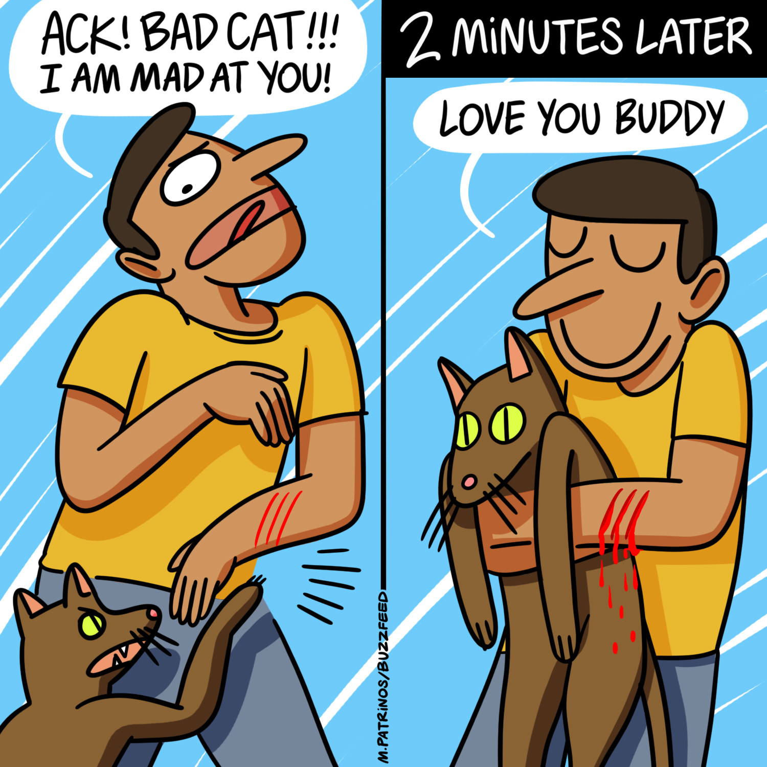 cat scratching human