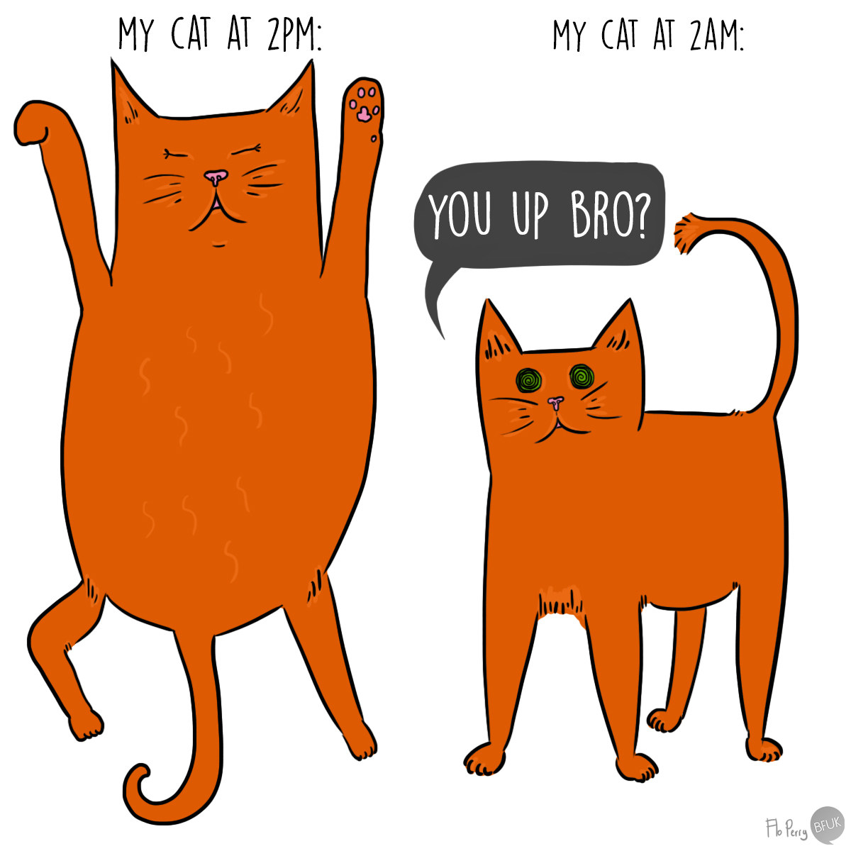 cartoon about a cat