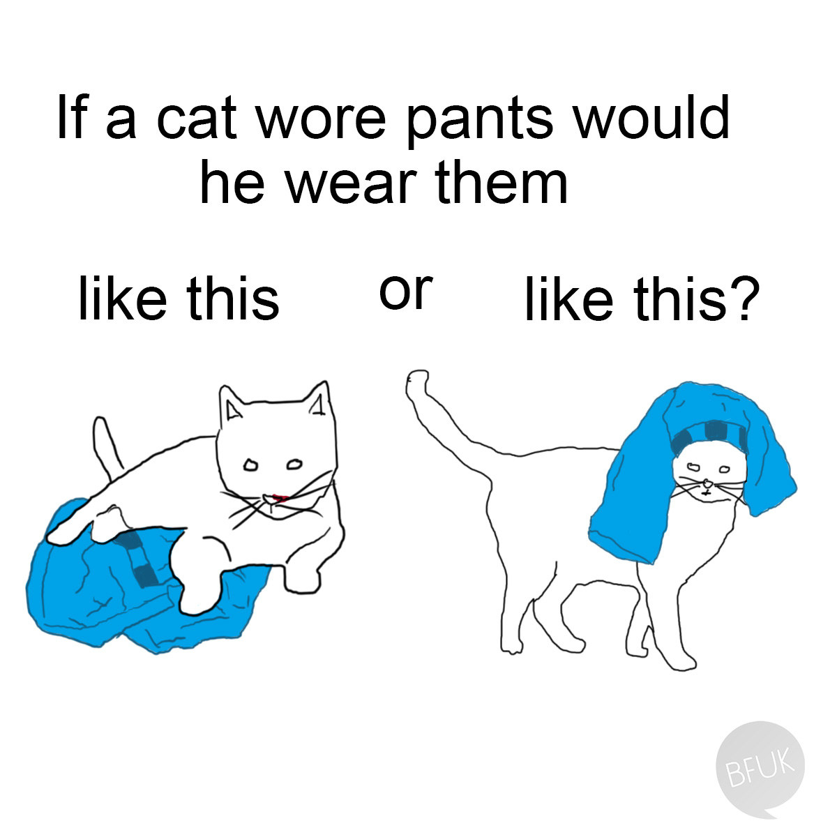 cat with pants