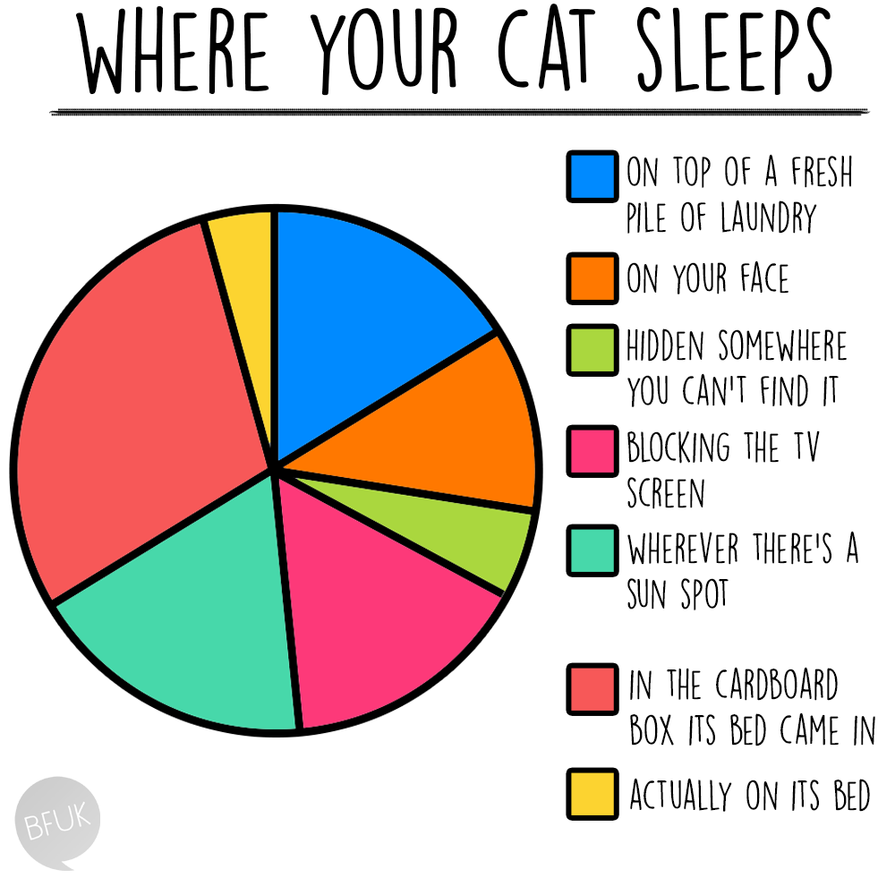 graph about a cat