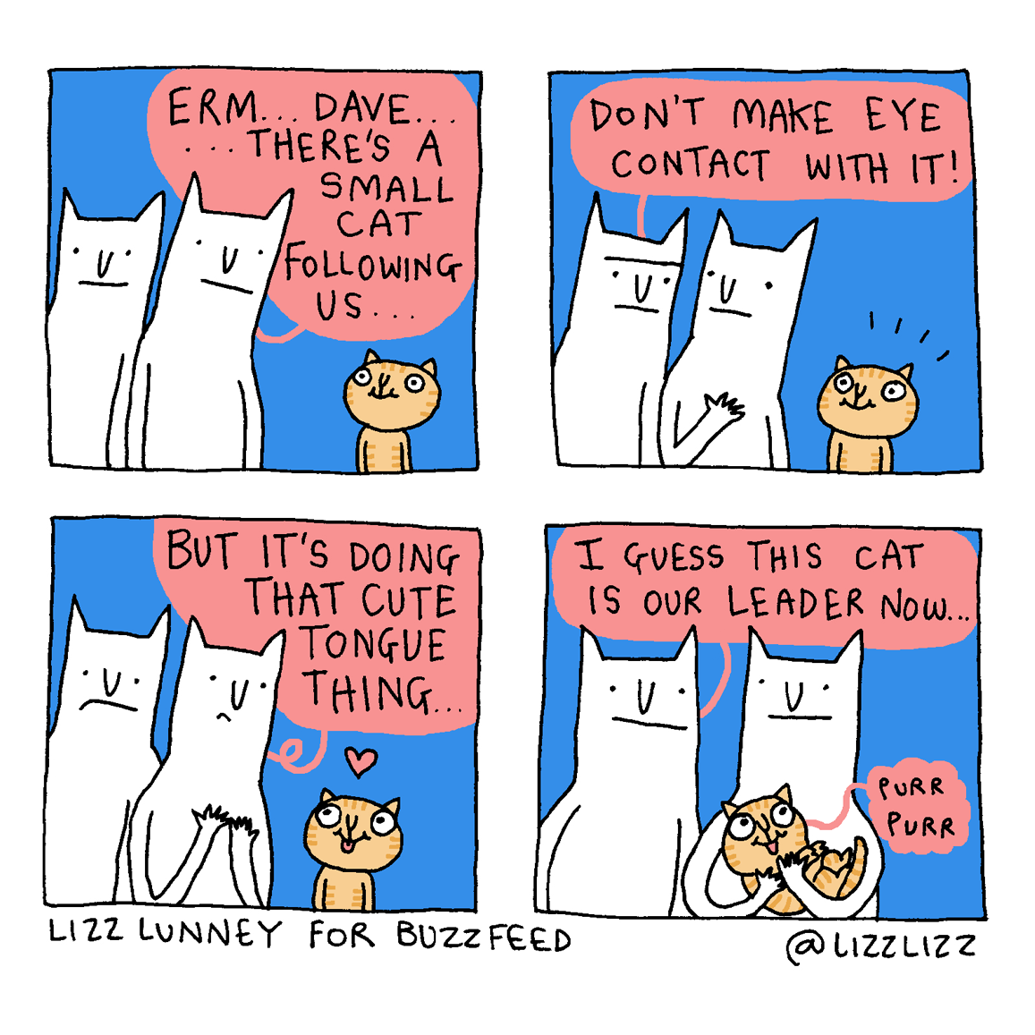 cartoon about cats
