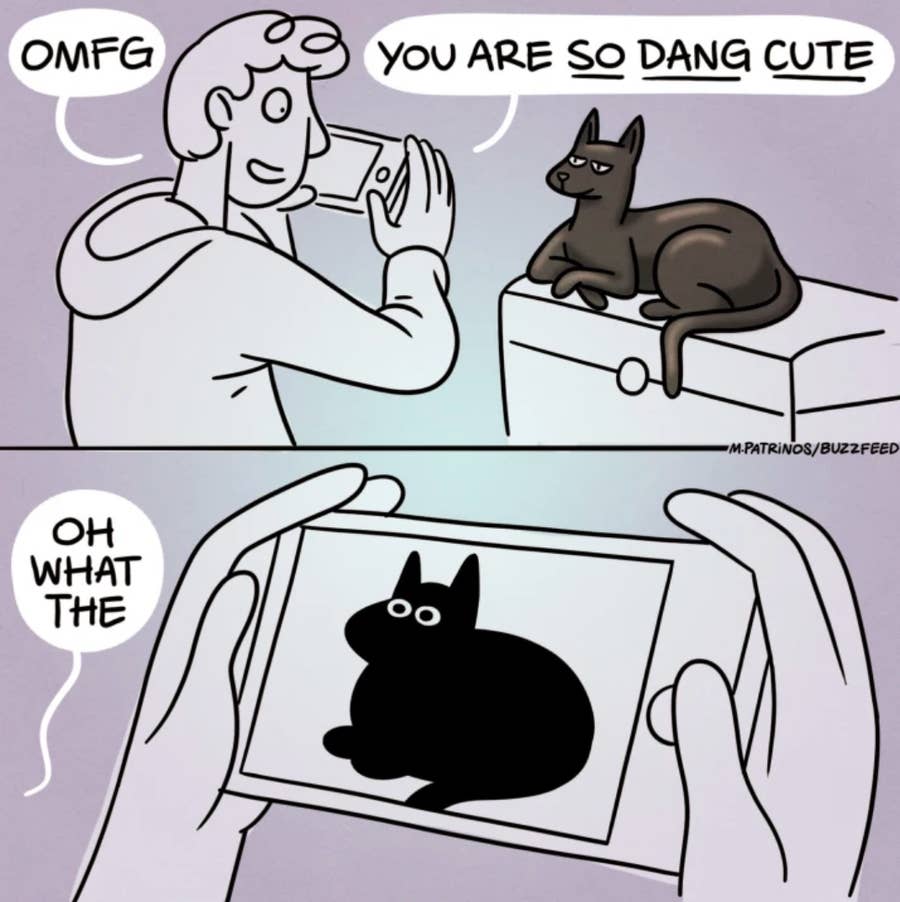 52 Memes That Will Make You Wonder Why You Ever Got A Cat
