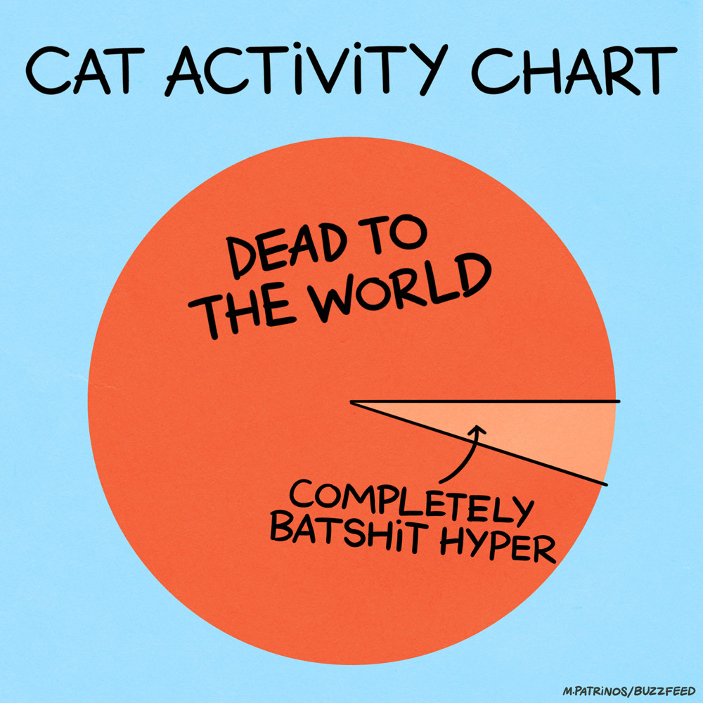 chart of cat sleepiness