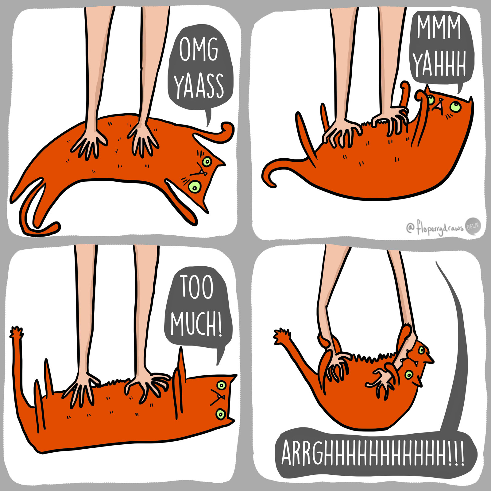 cartoon of a cat being scratched