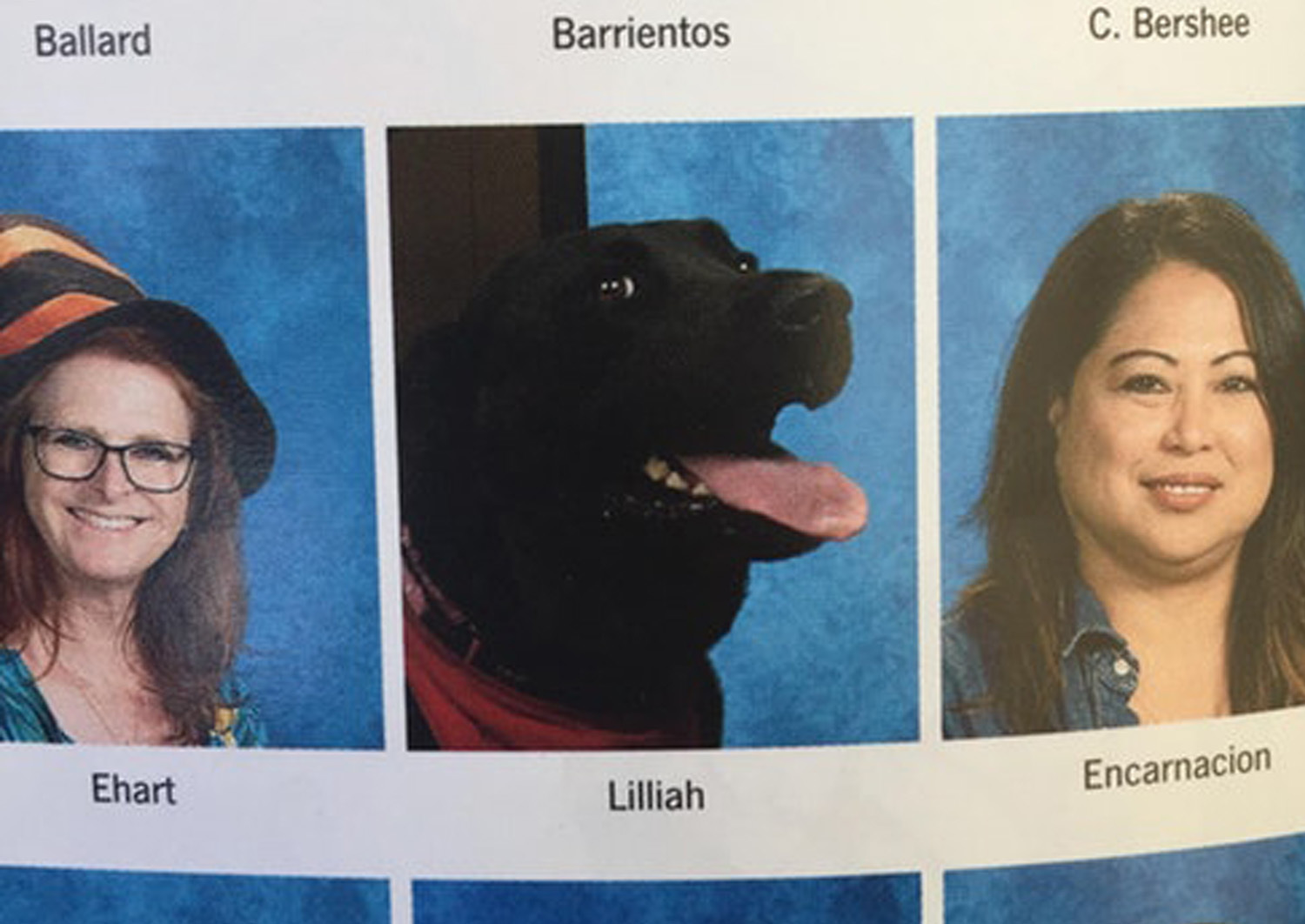 funny yearbook pictures dog