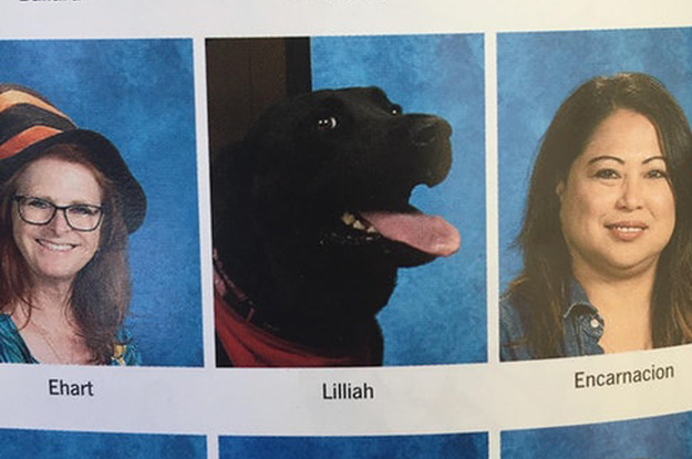 26 Dogs In Yearbooks Who Were Definitely Voted Most Popular