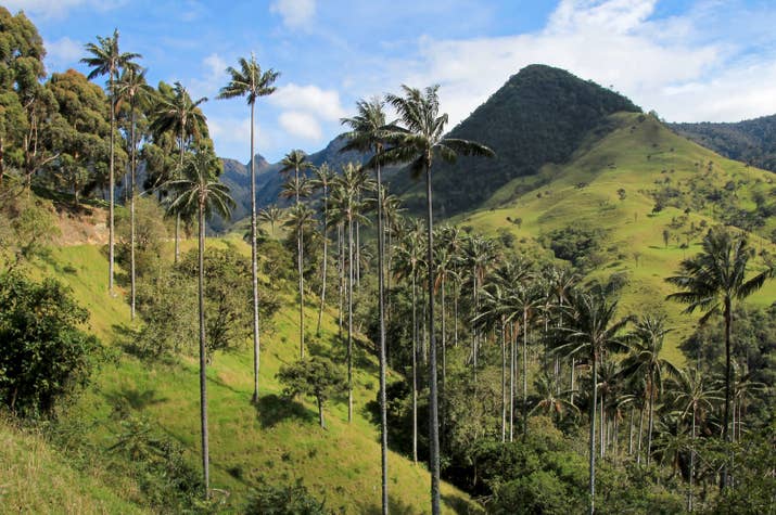 &quot;It was definitely the most magical place I've ever been.&quot; — jissellt