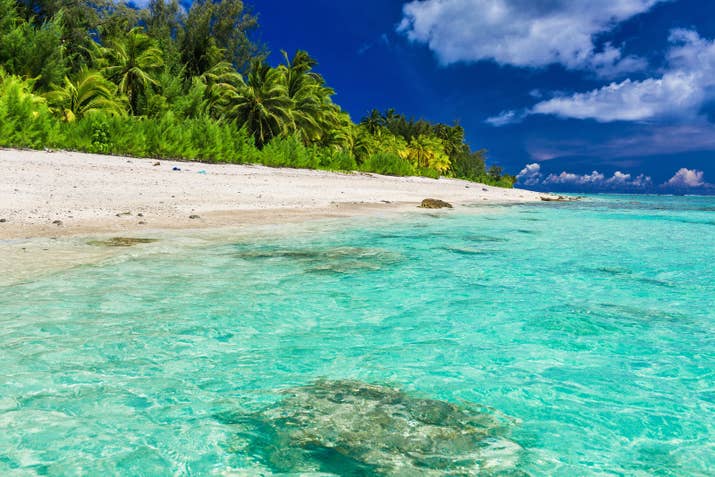 &quot;This island boasts clear turquoise water, pristine sand, and insane tropical fish.&quot; — graced463c17421