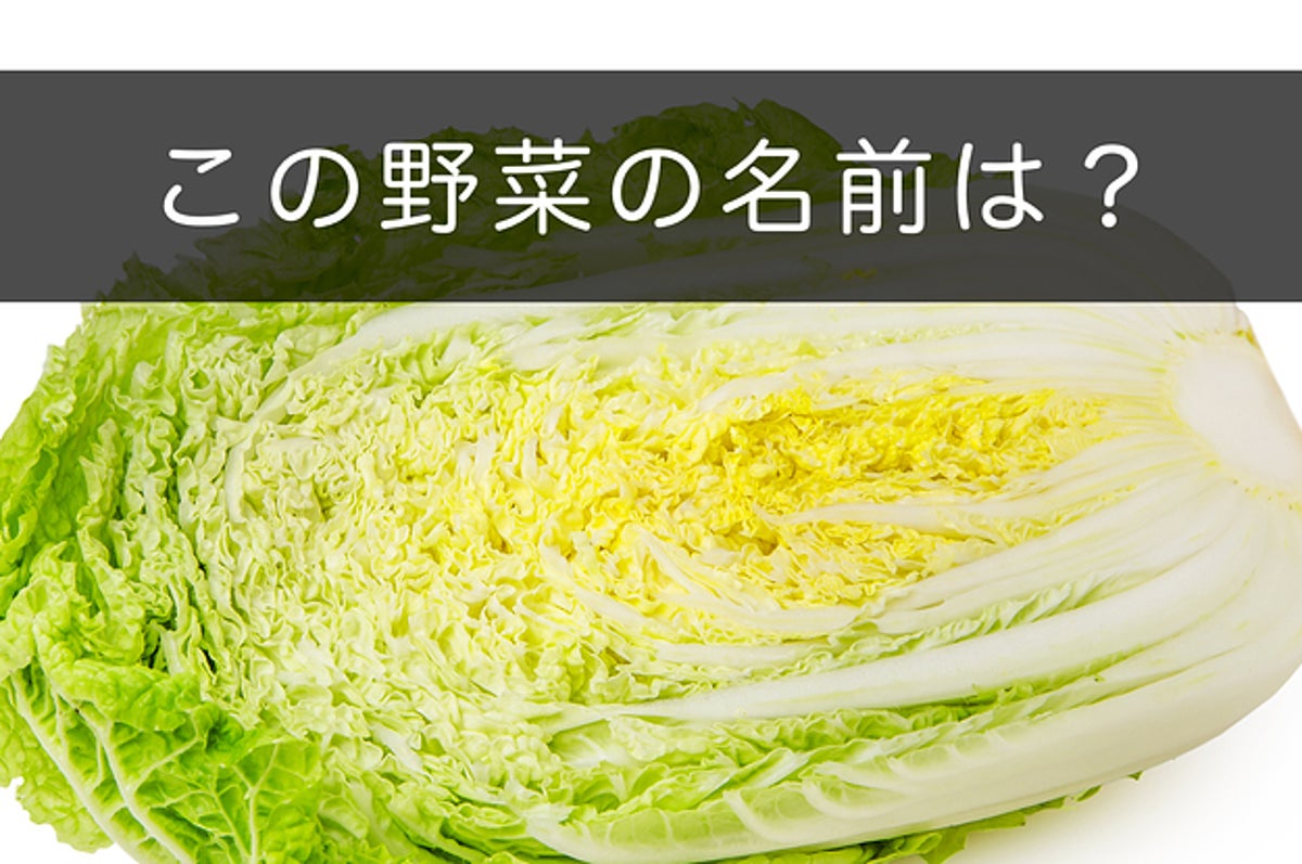 農家の人にしか解けない 写真から野菜の名前を当てるクイズ