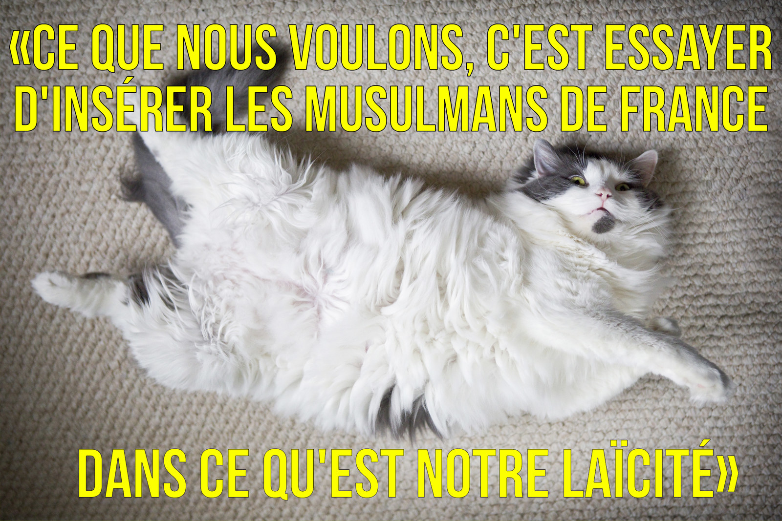 Les Citations De Gerard Collomb En Posters Pour Vos Chiottes