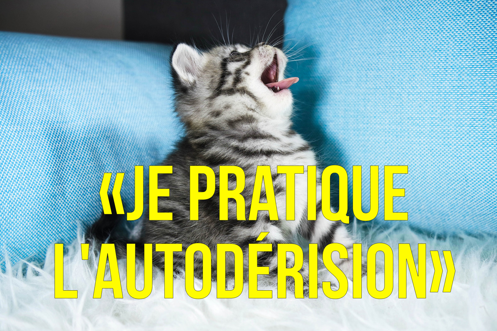 Les Citations De Gerard Collomb En Posters Pour Vos Chiottes