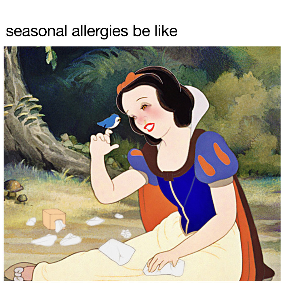 pollen allergies funny