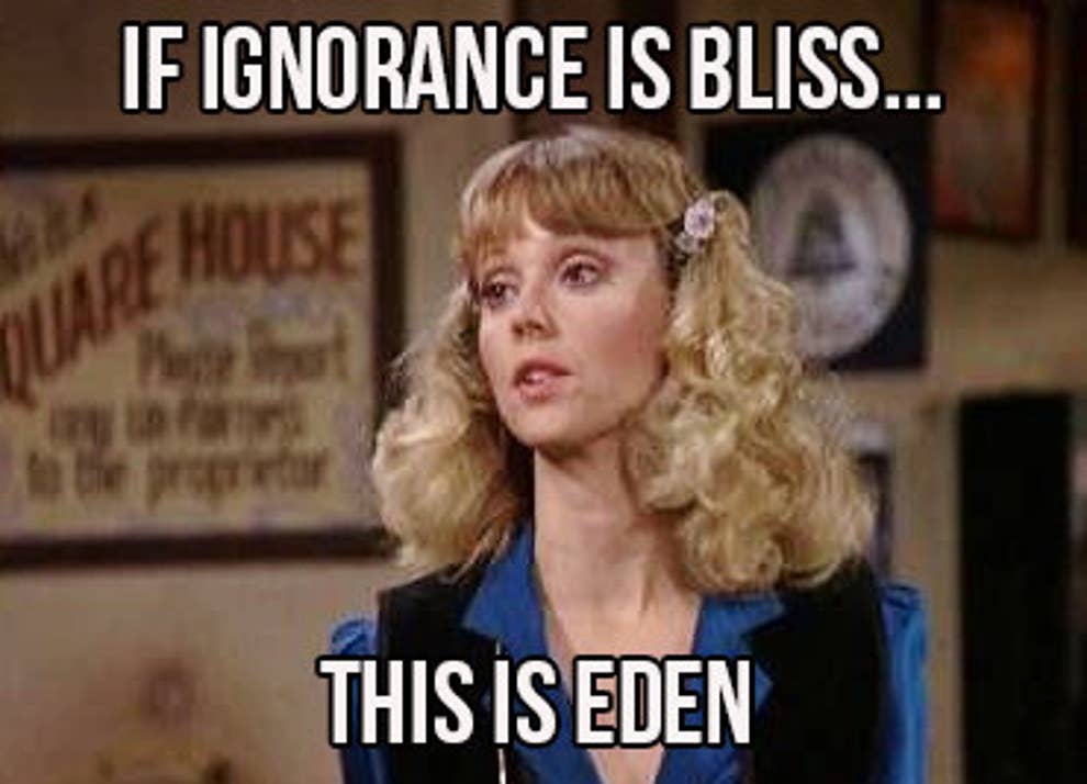 25 Cheers Quotes Guaranteed To Make You Laugh Every Time