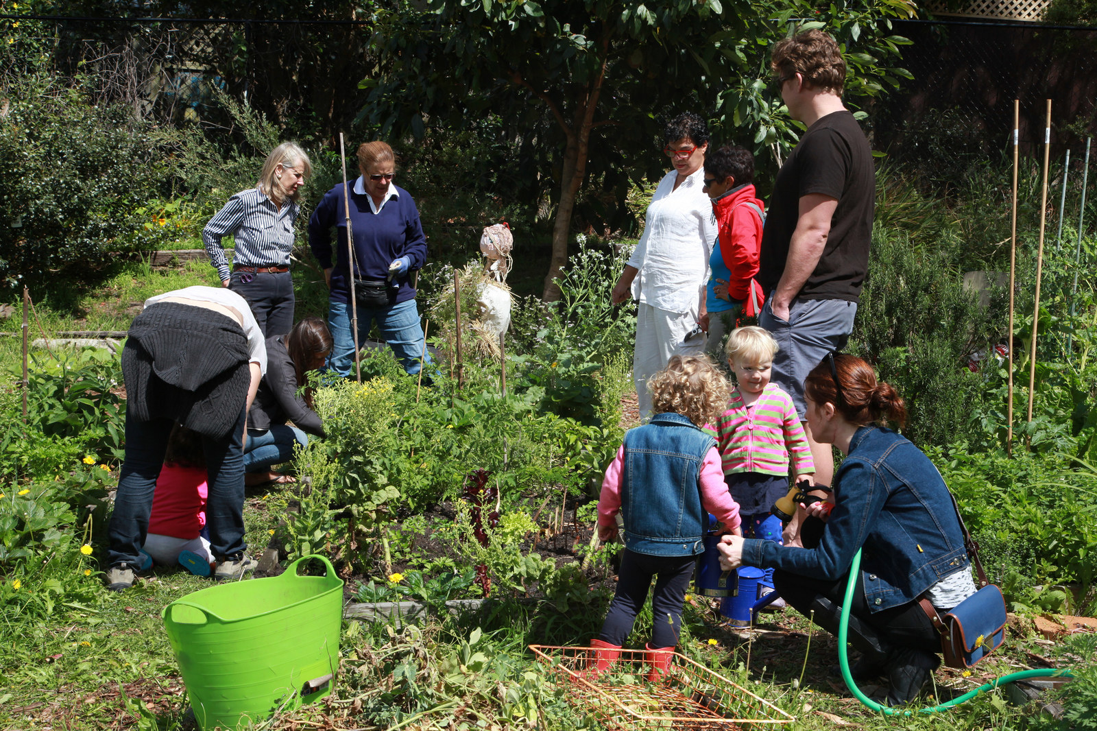 Сад народ. Community Gardening.