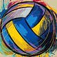 Vball24