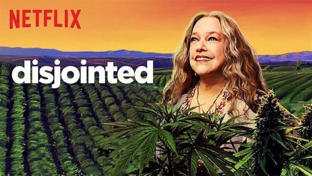 Disjointed, Season 1, Part 2 — January 12, 2018