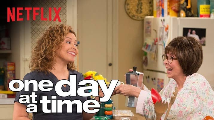How Netflix describes it: &quot;In a reimagining of the TV classic, a newly single Latina mother raises her teen daughter and tween son with the 'help' of her old-school mom.&quot;