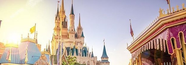 これをすればもっとディズニーランドを楽しめる コツを聞いてみた