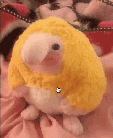 The Amazon Reviews For This Mini Plush Who Is Very Good And Doing His Best Are Truly Wonderful And Special