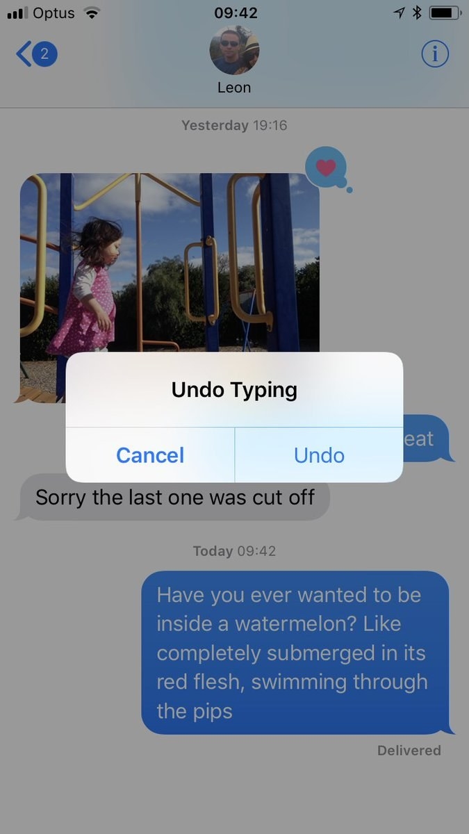 &quot;Undo Typing&quot; option: Cancel or undo