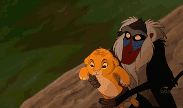 An animated scene from The Lion King