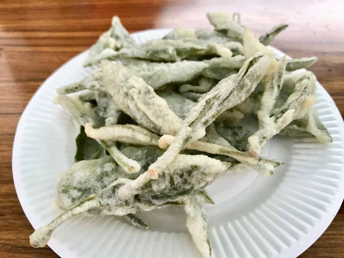 アレ の天ぷらが滅茶苦茶おいしすぎてネット見出しのハイパーインフレをもってしても最早追いつけないレベル