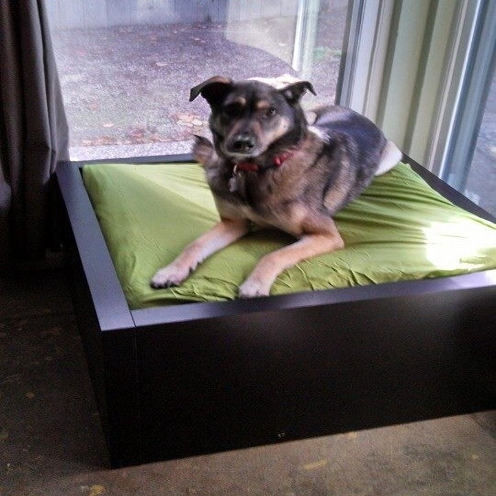 11 Clevere Ikea Hacks Bei Denen Alle Hundemenschen Sagen Das