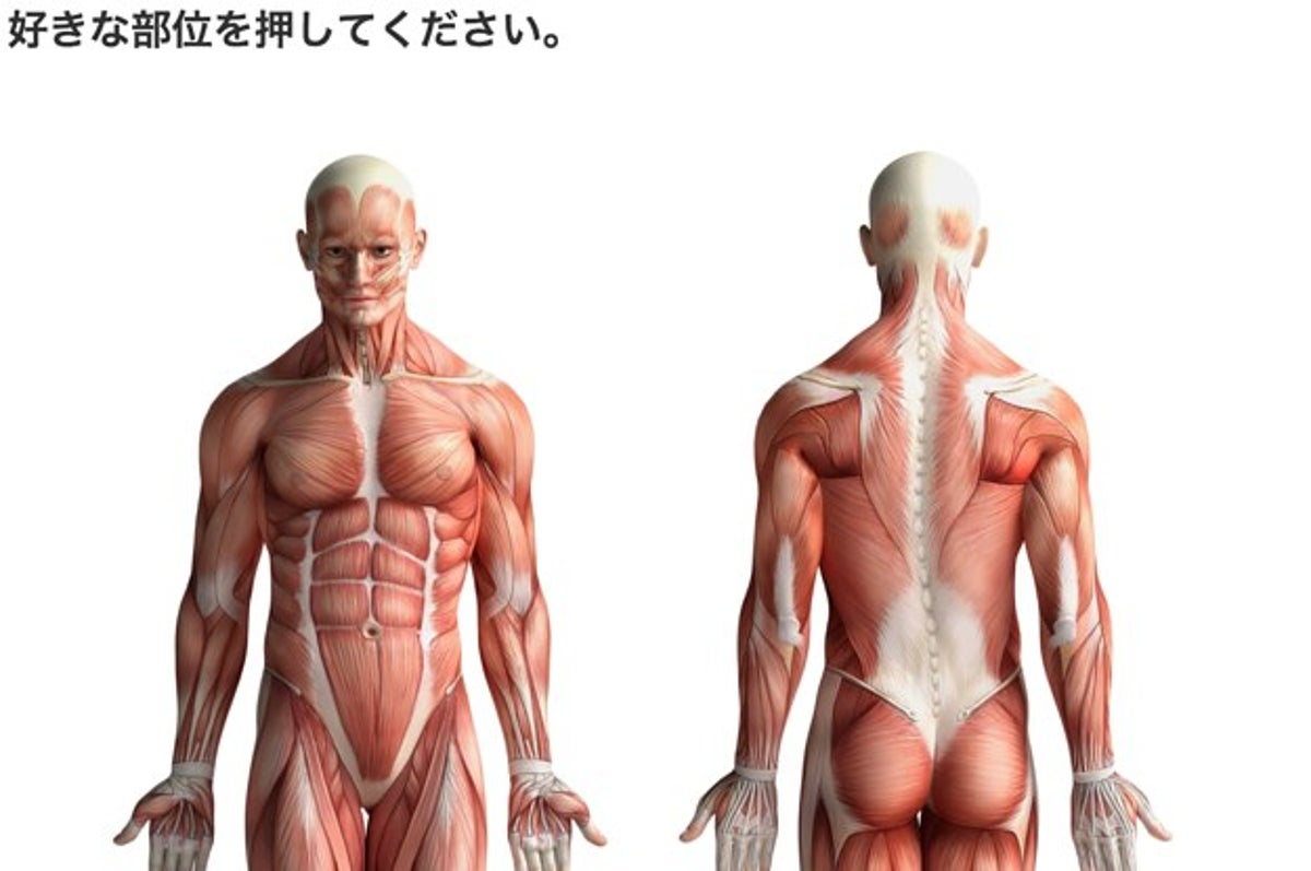 診断 好きな体の部位を選ぶと年齢がバレちゃう