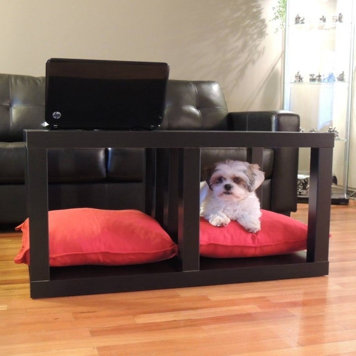 Every Dog Owner Should Know About These 11 Ikea Hacks