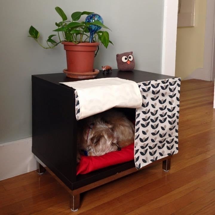 ikea dog ball