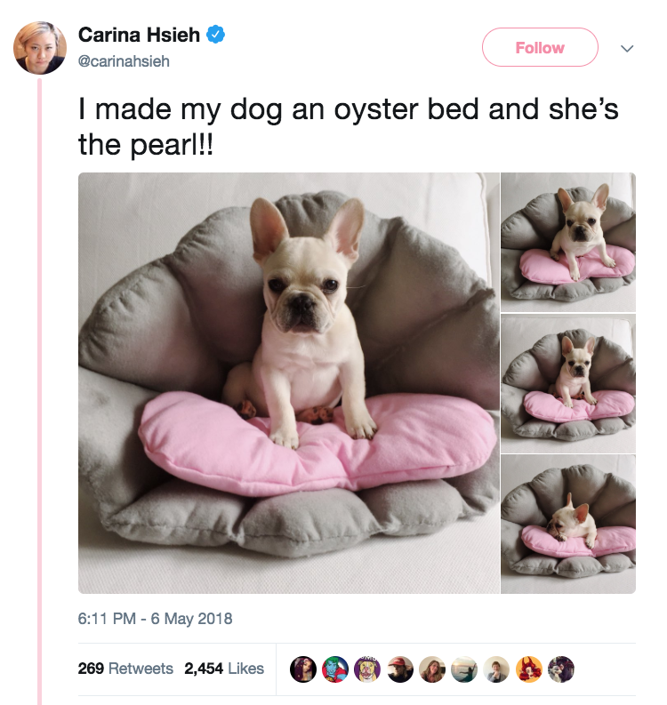 27 Absolutely Perfect Dogs Who Will Restore Your Faith In The World