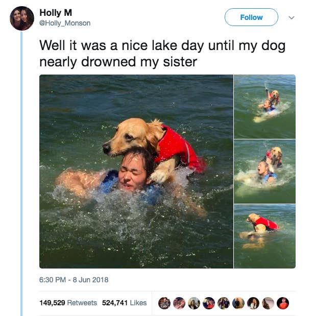 This Dog Took A Nice Day At The Lake From Zero To 100 Real Quick