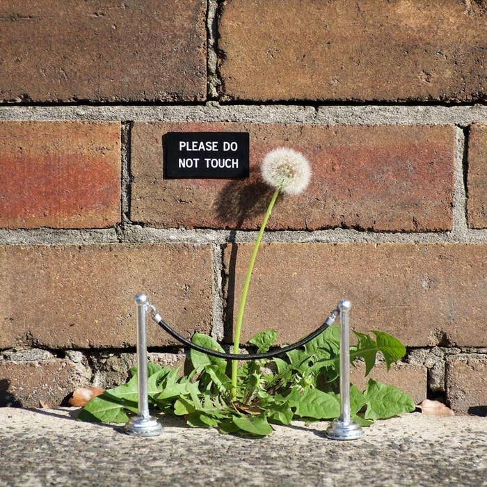 This Artist Turns Ordinary Objects And Places Into Extraordinary Street Art