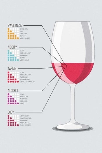 A page inside explaining wine tannins 