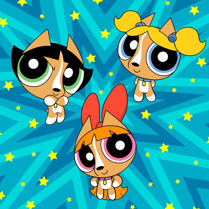 Truthfully, Pixel would be a perfect hybrid of Buttercup and Bubbles.