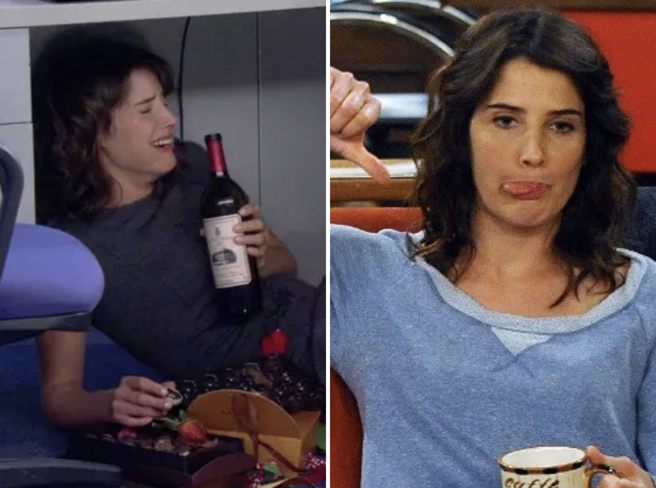 21 Times Robin Scherbatsky Was The Best \, image size:1308x974