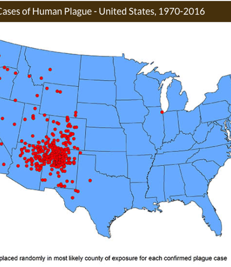 A Rare Case Of Plague Was Diagnosed In A Young Boy In Idaho