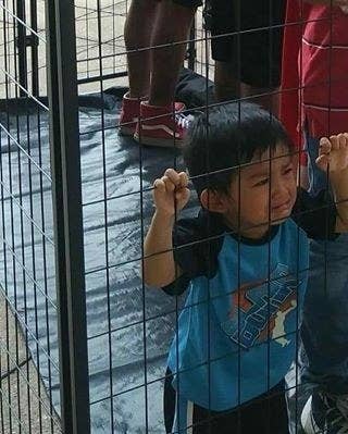 Image result for immigrant children in cages