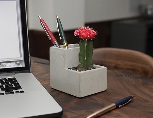 a concrete planter that looks like stairs with a cactus on one step and pens in the other 