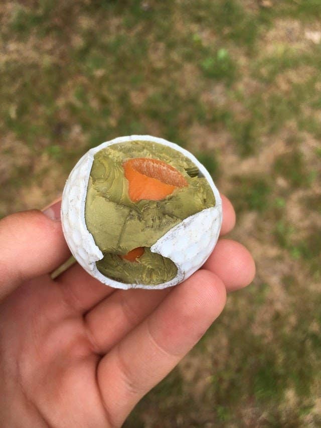 気になる あれ の中身を覗いてみた