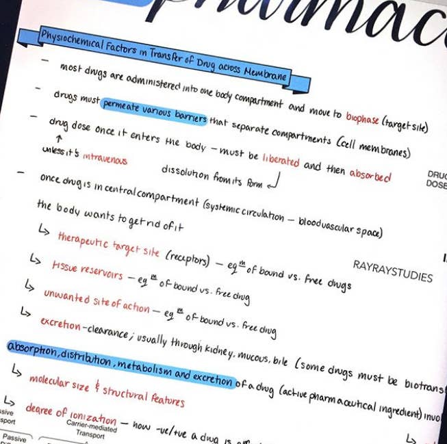 22 Study Notes Which Make Your Handwriting Look Like A Pile Of Trash
