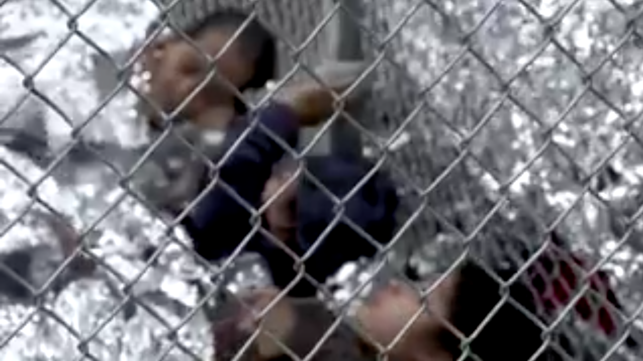 The Government Released A Video Showing Children Held In Cages At The ...