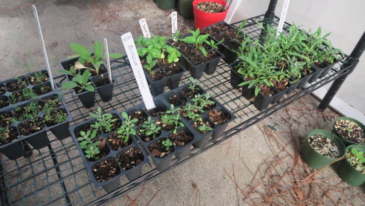 26 Seriously Useful Gardening Tips Every Beginner Needs To Know