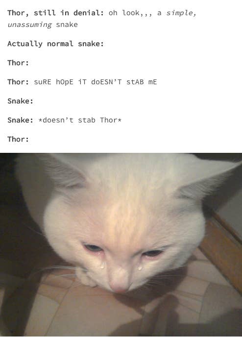 Nude Loki Cat By Enni296 Meme Center