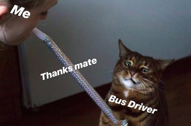 Image result for thanking the bus driver