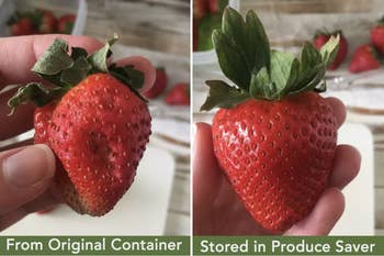 buzzfeed editor's side by side comparison of a strawberry that was in the container and one that wasn't